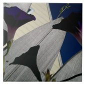 朝顔の花 タイル (正面)