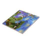 朝顔の花 タイル (側面)