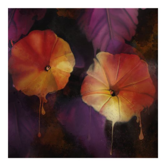 朝顔の花 フォトプリント            (正面)