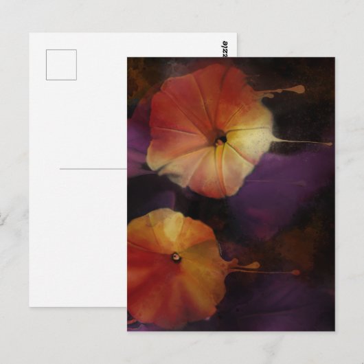 朝顔の花 ポストカード (正面/裏面)