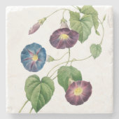 朝顔の花 | Pierre-Joseph Redote ストーンコースター (正面)