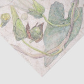 朝顔の野生の花によってはティッシュペーパーが開花します 薄葉紙 (詳細)