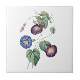 朝顔のRedouteのセラミックタイル タイル