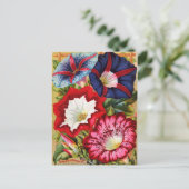 朝顔はがき ポストカード (スタンド正面)