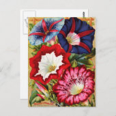 朝顔はがき ポストカード (正面/裏面)