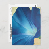 朝顔はがき ポストカード (正面/裏面)