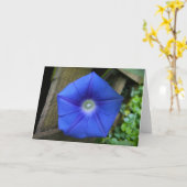 朝顔カード カード (黄色い花)