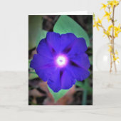 朝顔カード カード (黄色い花)