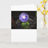 朝顔カード カード (黄色い花)