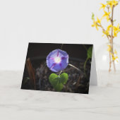 朝顔カード カード (黄色い花)