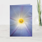 朝顔ハート カード (正面)