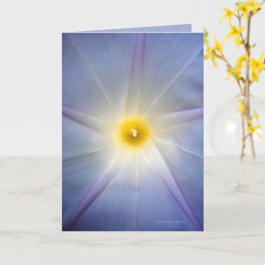 朝顔ハート カード (黄色い花)