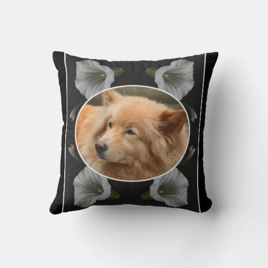朝顔フレーム自分のペット写真を作成 クッション (裏面)