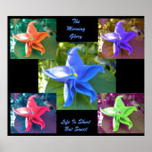 朝顔ポスター ポスター (正面)