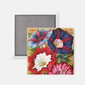 朝顔マグネット マグネット (正面/裏面)