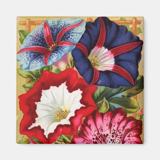 朝顔マグネット マグネット (正面)