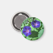 朝顔マグネット マグネット (正面/裏面)