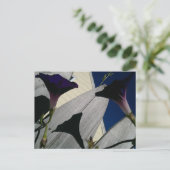 朝顔花はがき ポストカード (スタンド正面)