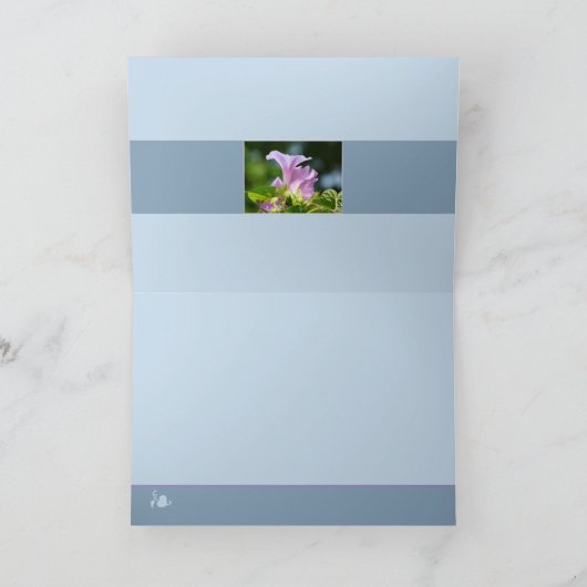 朝顔1 カード (内部)