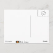 朝顔 – はがき (裏面)