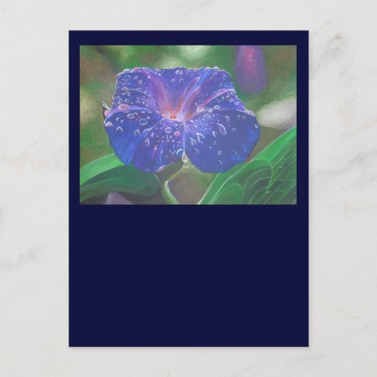朝顔(アサガオ、Ipomoea Purpurea)花弁と露 ポストカード (正面)