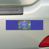 朝顔（イポモアパープレア）花びらと露Dr. バンパーステッカー (車上)