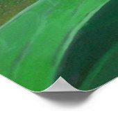 朝顔（イポモアパープレア）花びらと露Dr. ポスター (角)