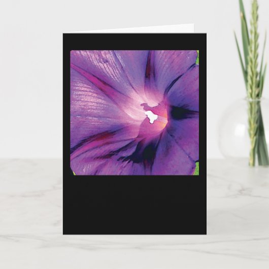 朝顔 カード (正面)