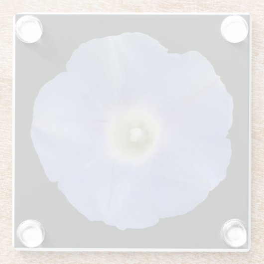 朝顔 ガラスコースター (裏面)