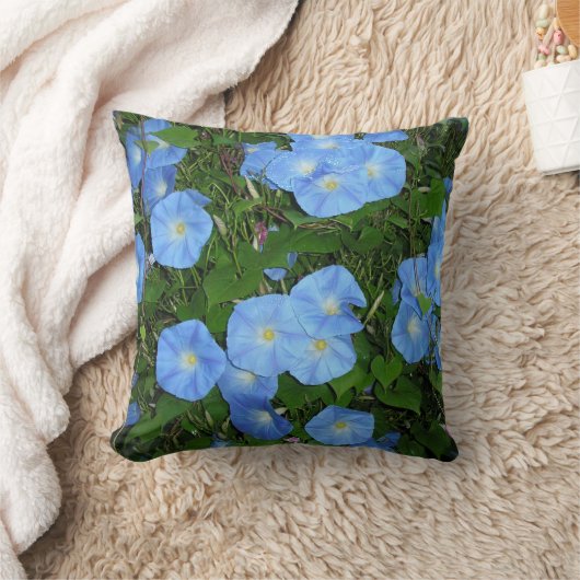 朝顔！ クッション (ブランケット)