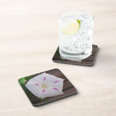 朝顔 コースター (右側)