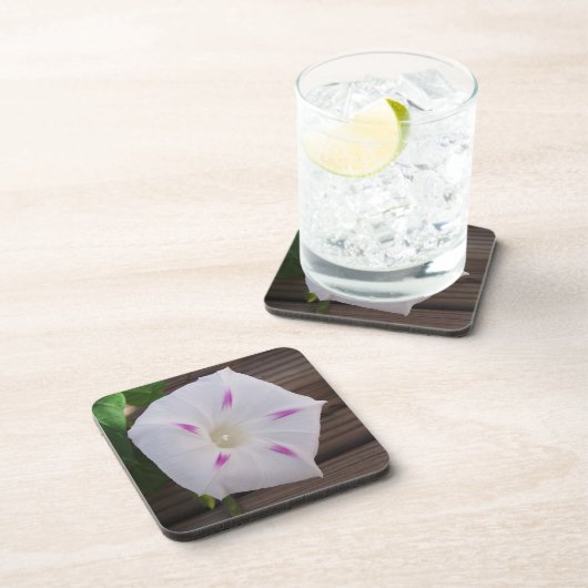 朝顔 コースター (右側)