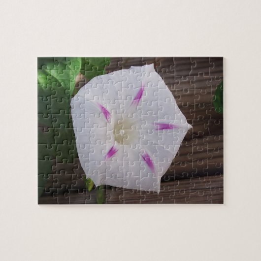 朝顔 ジグソーパズル (横)