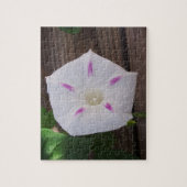 朝顔 ジグソーパズル (縦)