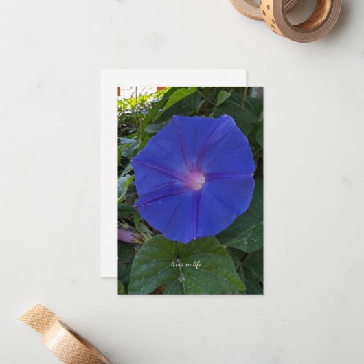 朝顔 ノートカード (正面/裏面インサイチュ)