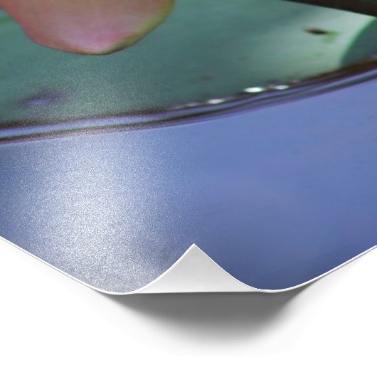 朝顔 フォトプリント            (角)