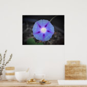 朝顔 ポスター (キッチン)