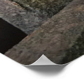 朝顔 ポスター (角)