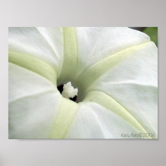 朝顔 ポスター (正面)