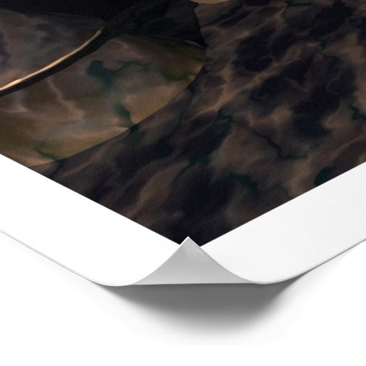 朝顔 ポスター (角)