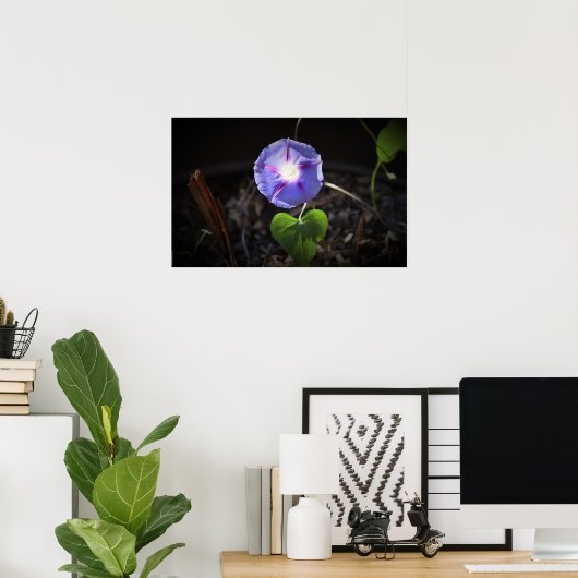 朝顔 ポスター (ホームオフィス)