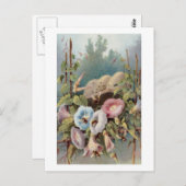 朝顔 ポストカード (正面/裏面)