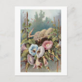 朝顔 ポストカード (正面)