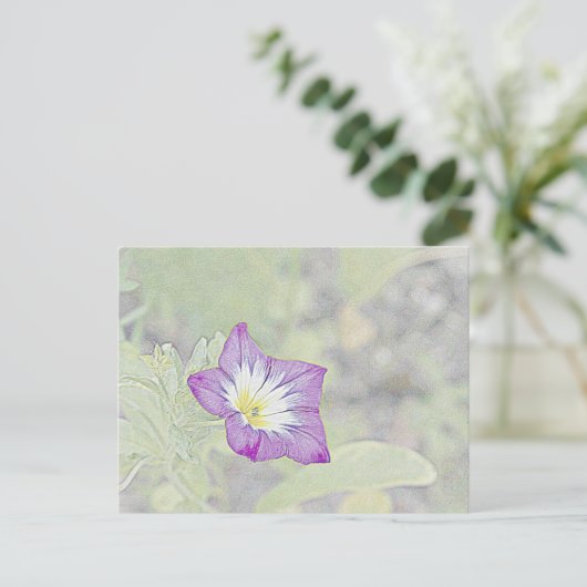 朝顔 ポストカード (スタンド正面)