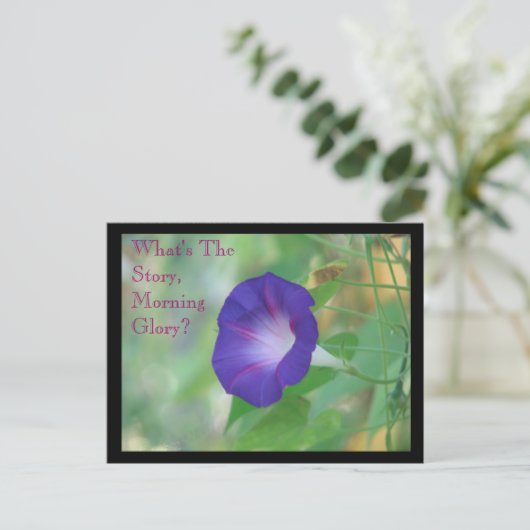 朝顔 ポストカード (スタンド正面)