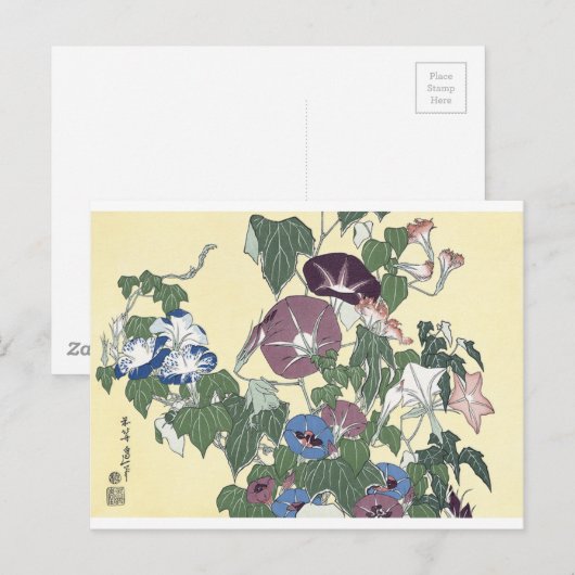 朝顔 ポストカード (正面/裏面)