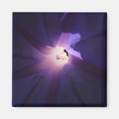 朝顔 マグネット (正面)