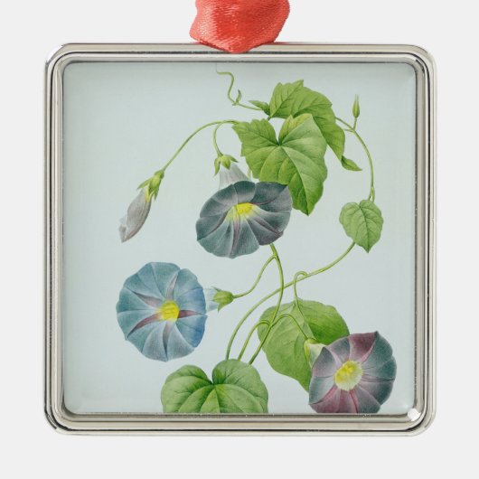 朝顔 メタルオーナメント (正面)