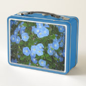 「朝顔！」 メタルランチボックス (裏面)