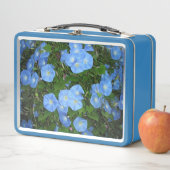 「朝顔！」 メタルランチボックス (インサイチュ)